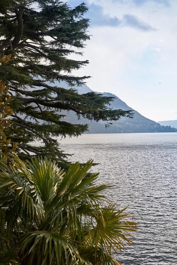 Villa Làrio Lake Como Pognana Lario Exterior foto